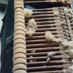 technique_10