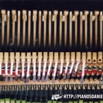 technique_13