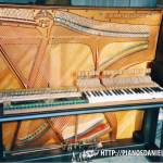 knabe-1905-b
